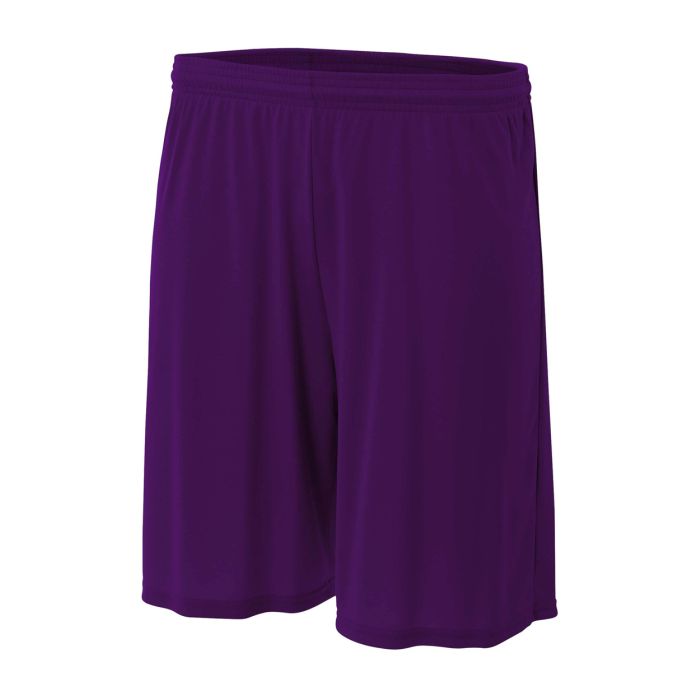 A4 Basketball Shorts ''Purple'' (N5283 - 209)