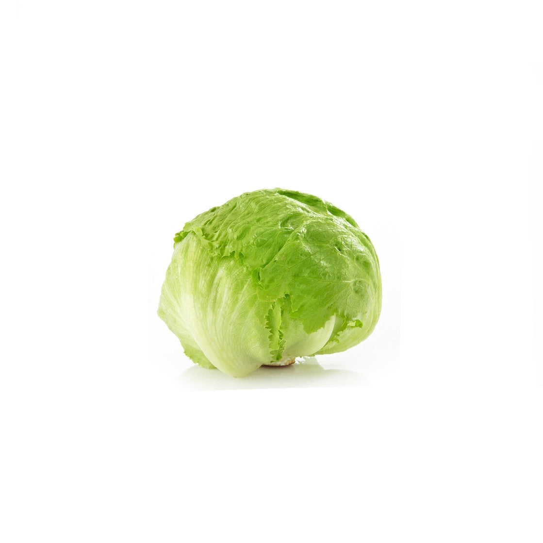 Green Cabbage (4405295/ 4069)