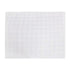 Clear 10 Mesh Plastic Canvas by Loops & Threads 10.5" x 13.5"(MP635615)