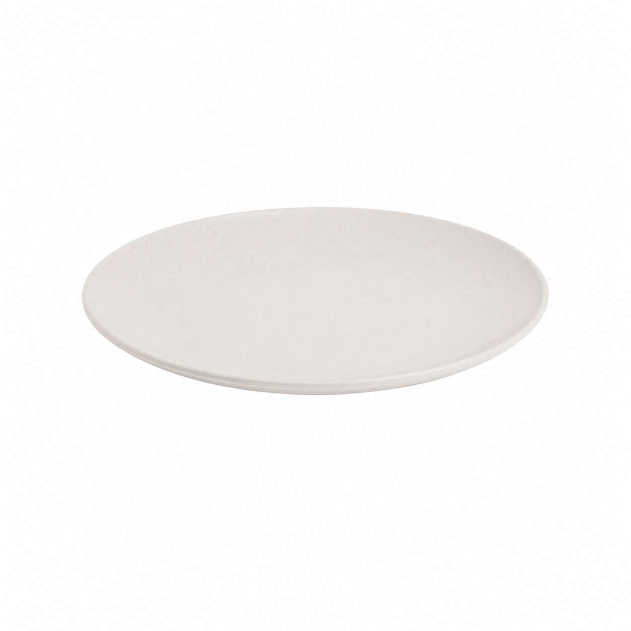 10" White Heavy Duty Plastic Dinner Plate (W2YNCC)
