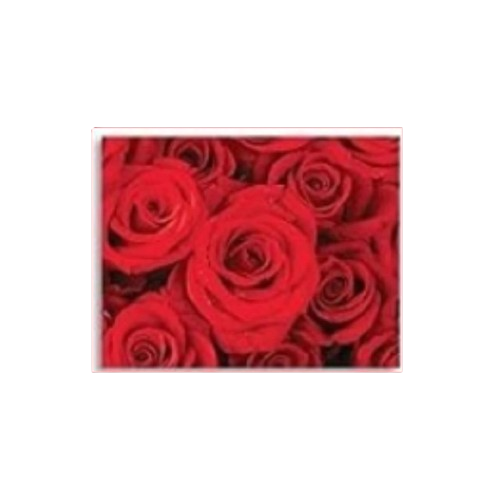 Valentine Note Card w/ Envelope (143-8)