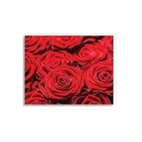 Valentine Note Card w/ Envelope (143-5)