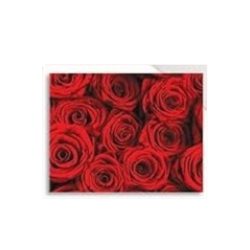 Valentine Note Card w/ Envelope (143-4)