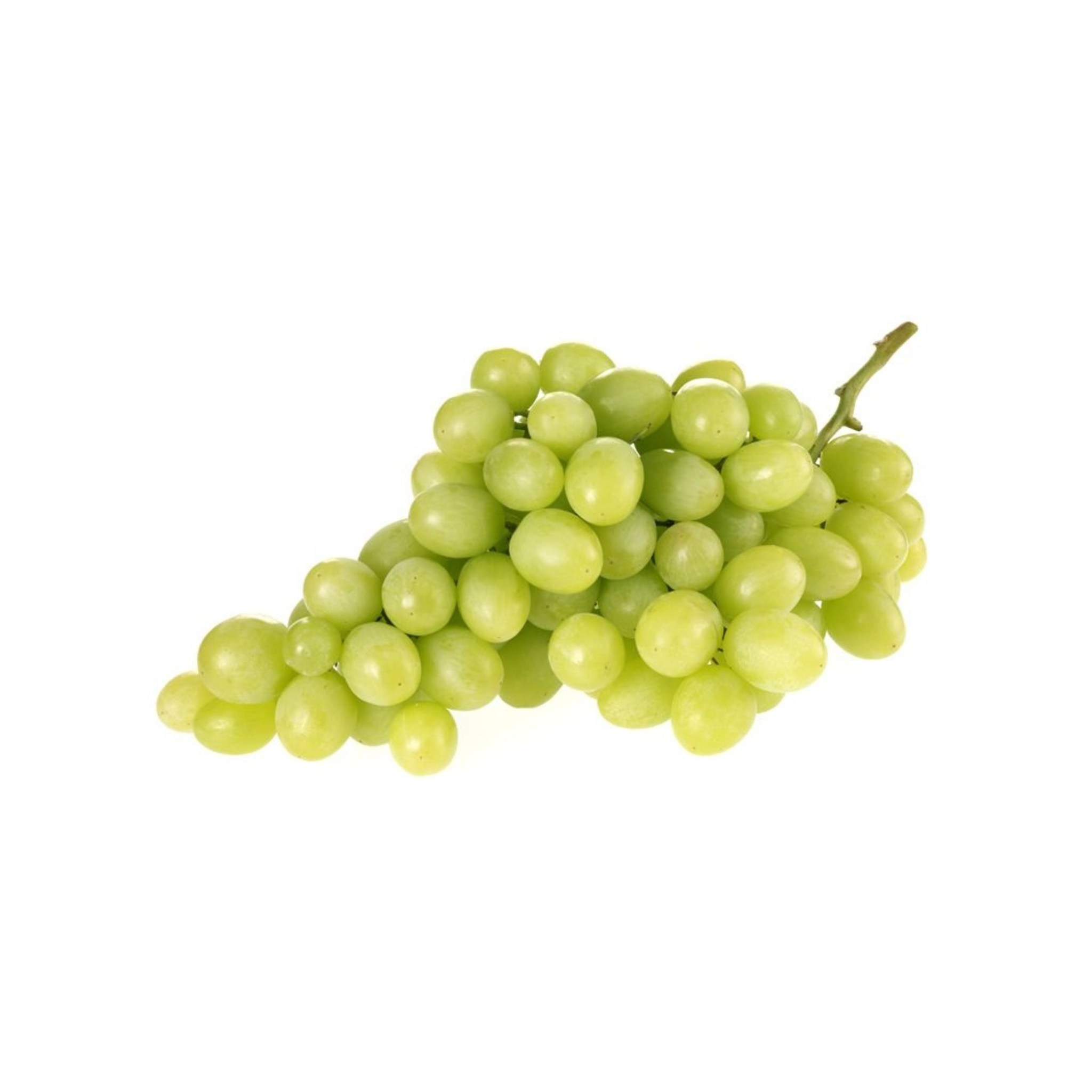 GRAPES 16oz (4310)