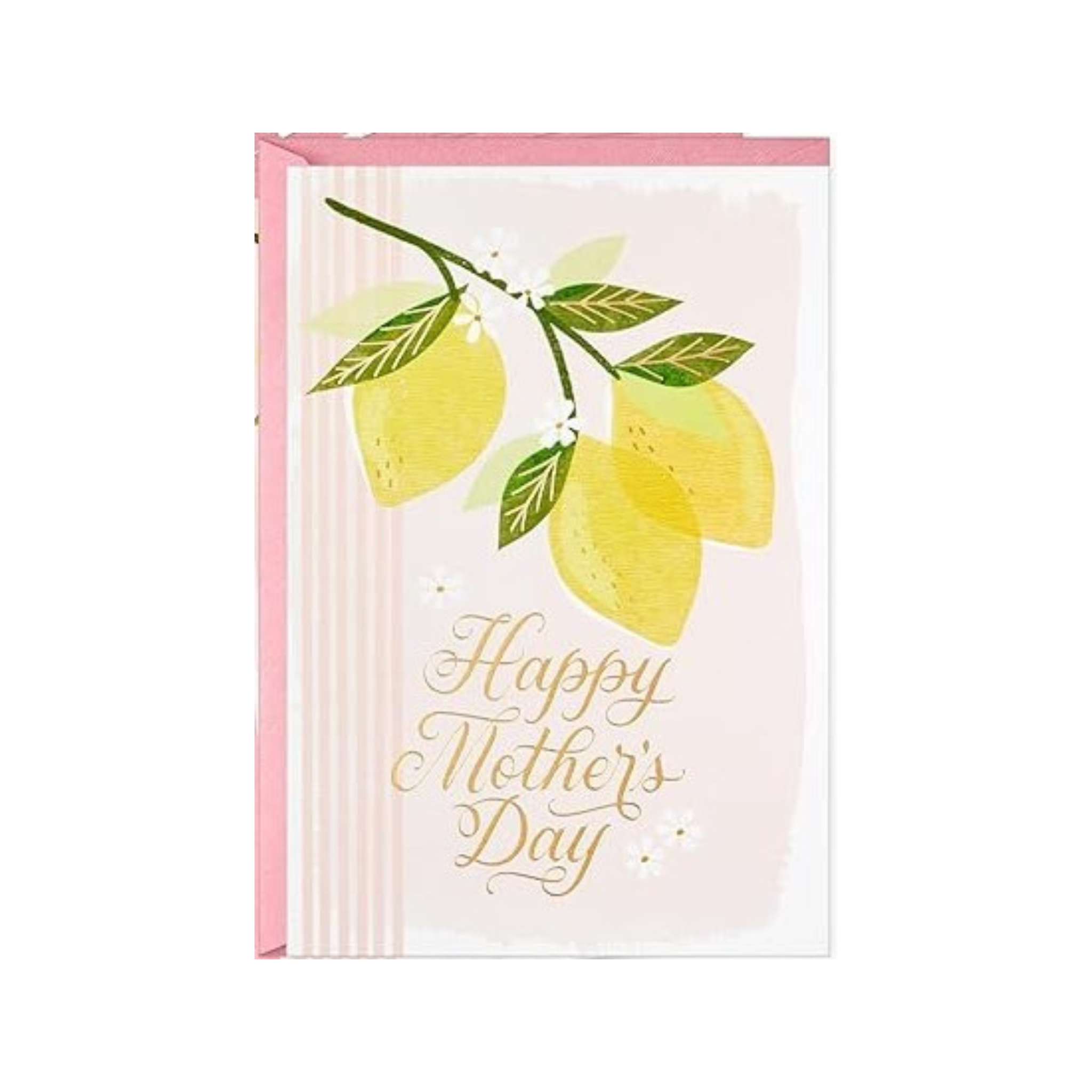 Hallmark Mother's Day Happiest Moments w/ Envelope (H3255)
