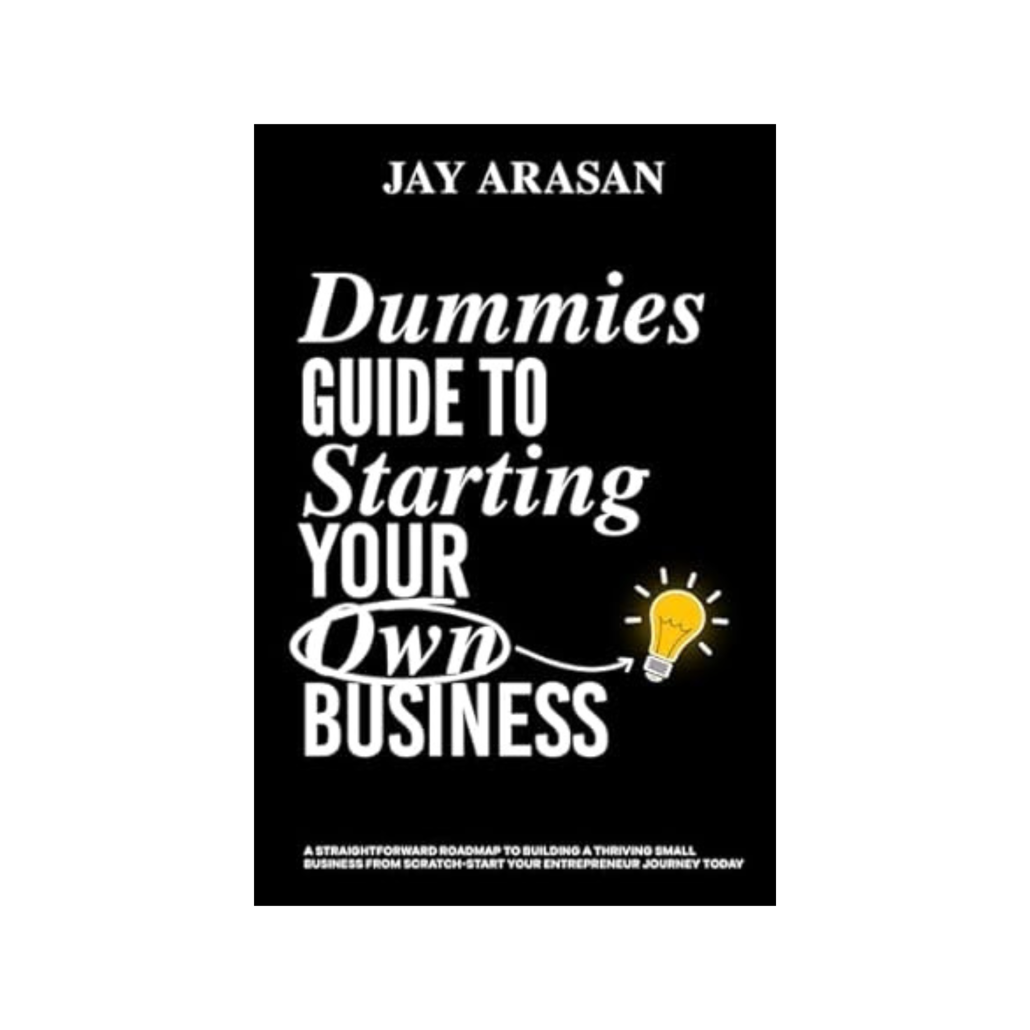 Dummies Guide:  To Starting Your Own Business (DG5456)