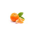 Cutie Clementines (4404444/3616/3616-2)