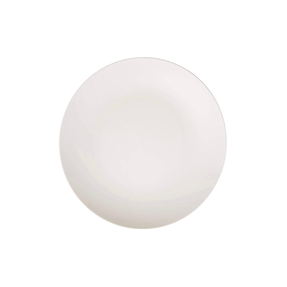 Plastic Plate  10.2 inches (9920000)